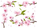 粉色桃花素材