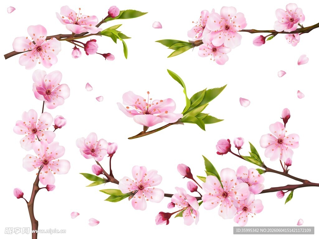 粉色桃花素材