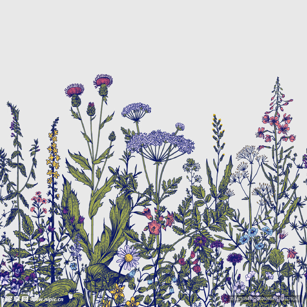 紫色花卉丛插画