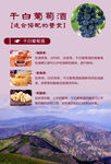 葡萄酒海报