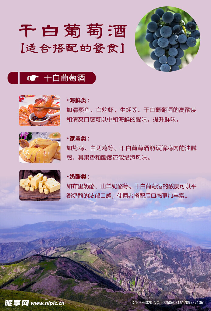 葡萄酒海报