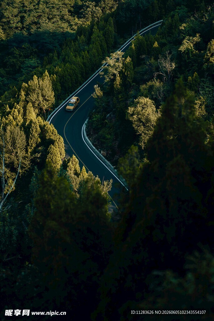 山间蜿蜒公路穿梭于树林