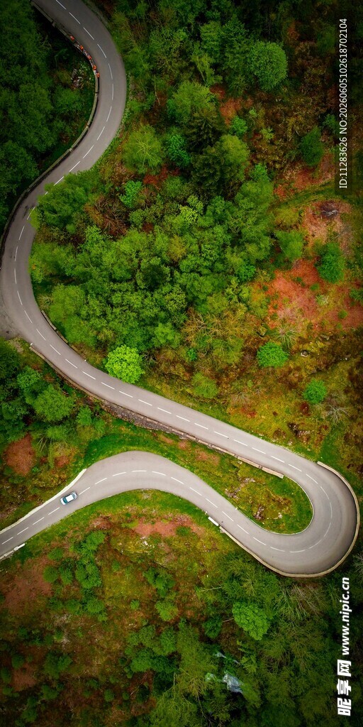 蜿蜒山路穿梭于葱郁山林