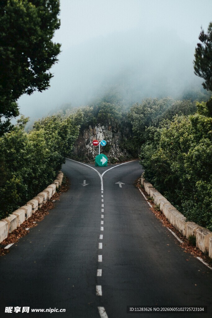 雾中蜿蜒公路
