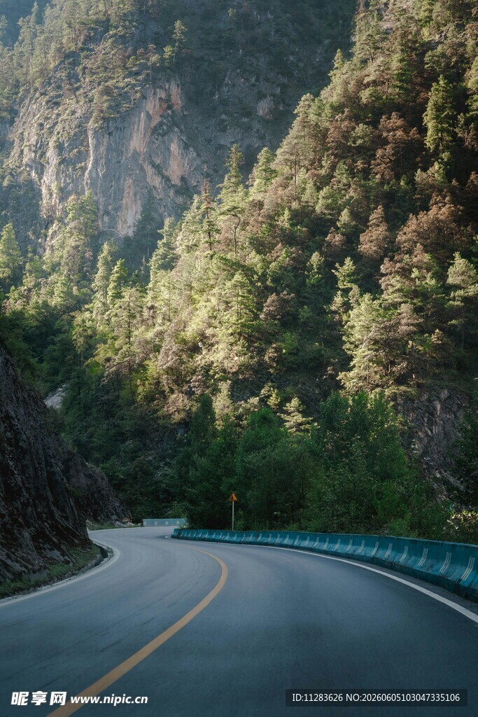 蜿蜒山路旁的葱郁山林