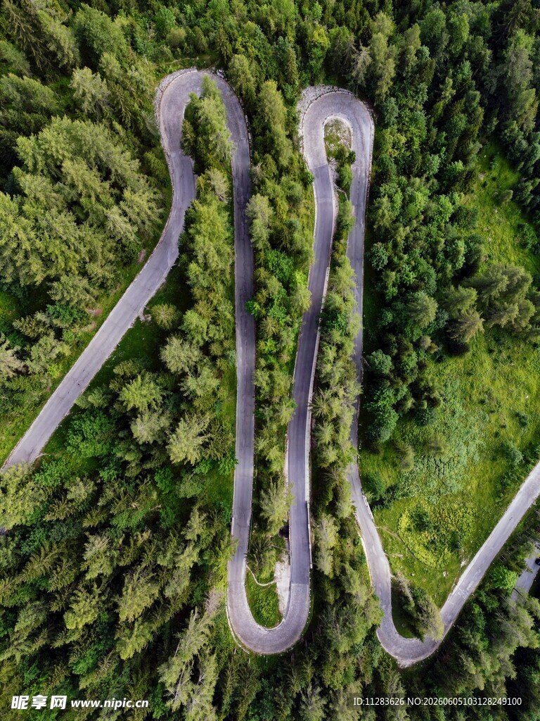 蜿蜒于森林中的曲折公路