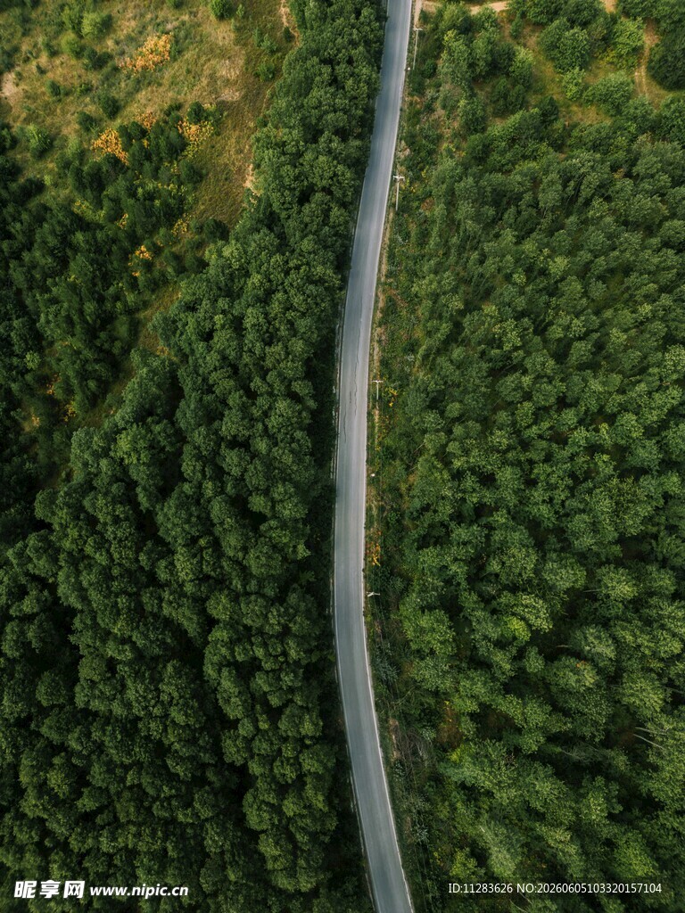 航拍林间蜿蜒