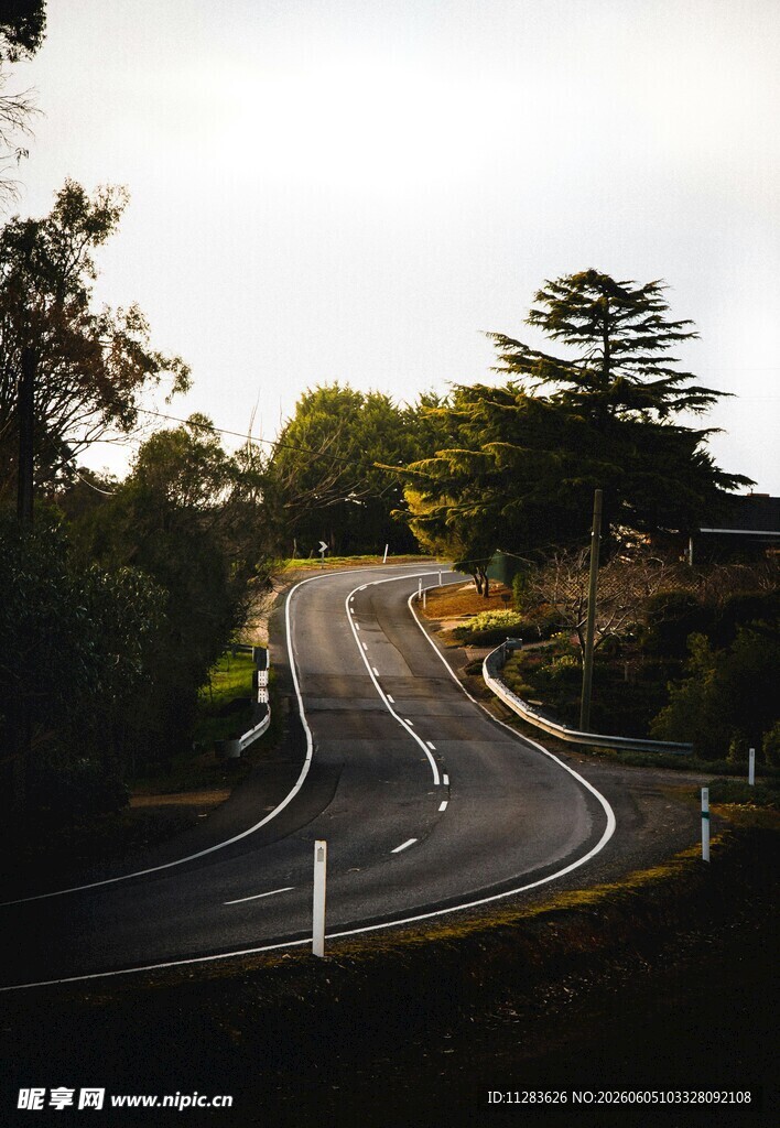 蜿蜒公路旁的