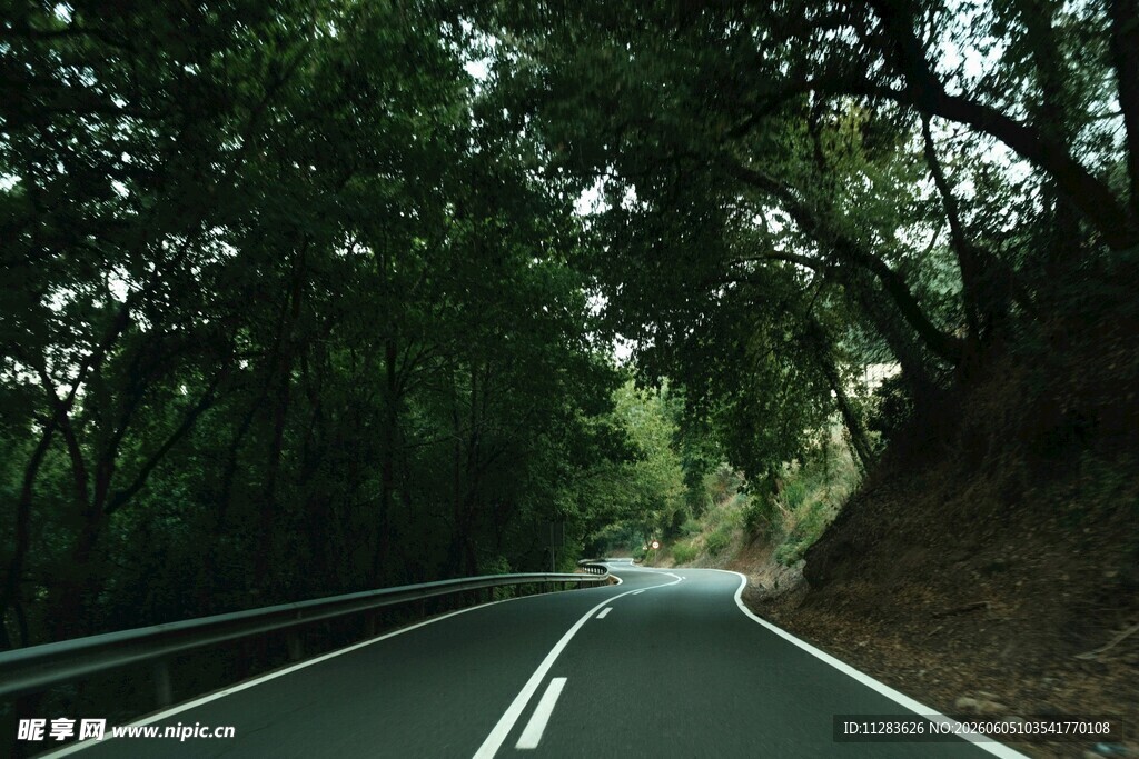 蜿蜒林间公路