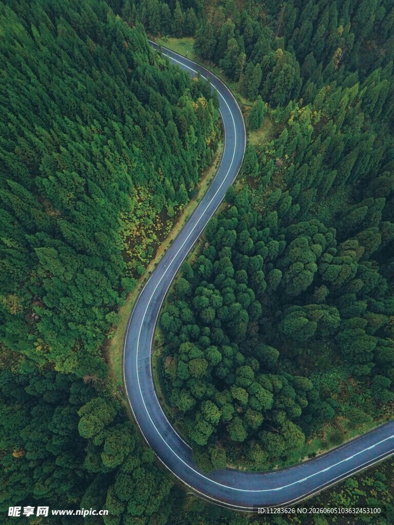 蜿蜒公路穿梭翠绿山林