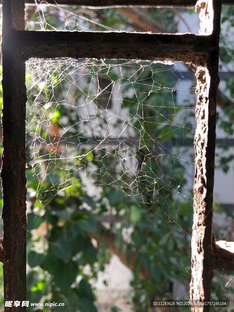 透过锈迹铁栏
