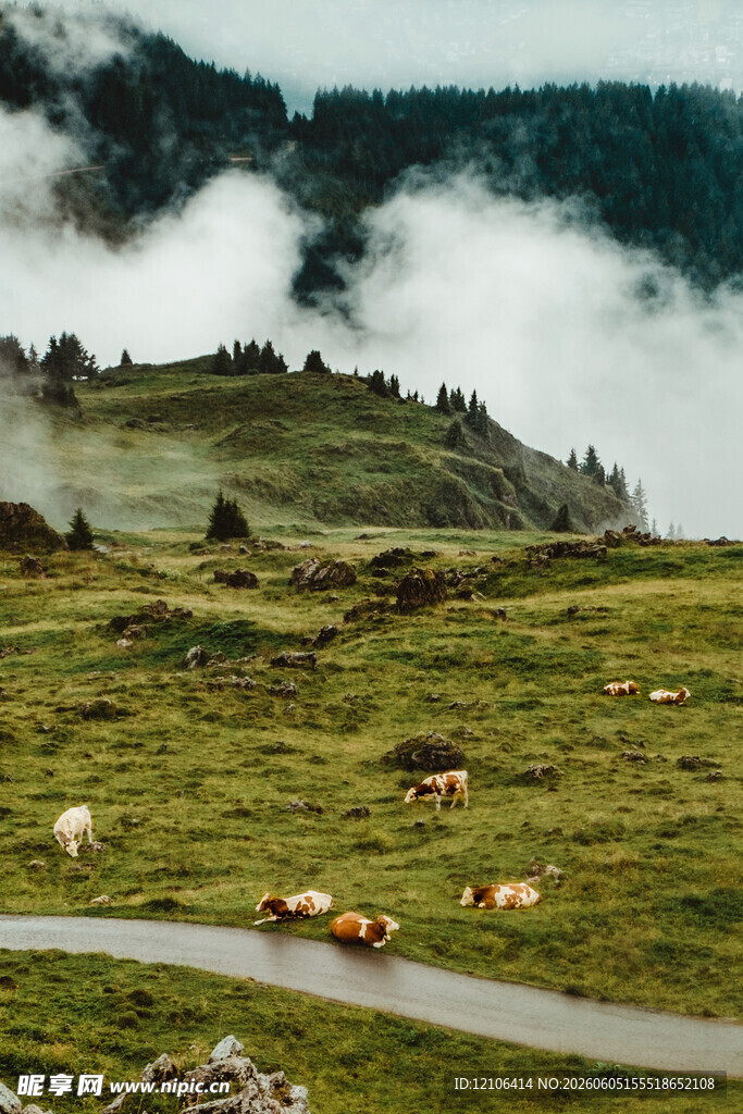 山间牧场景色如画