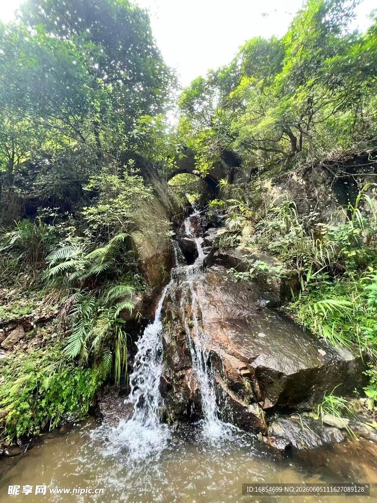 山间溪流潺潺  绿意盎然