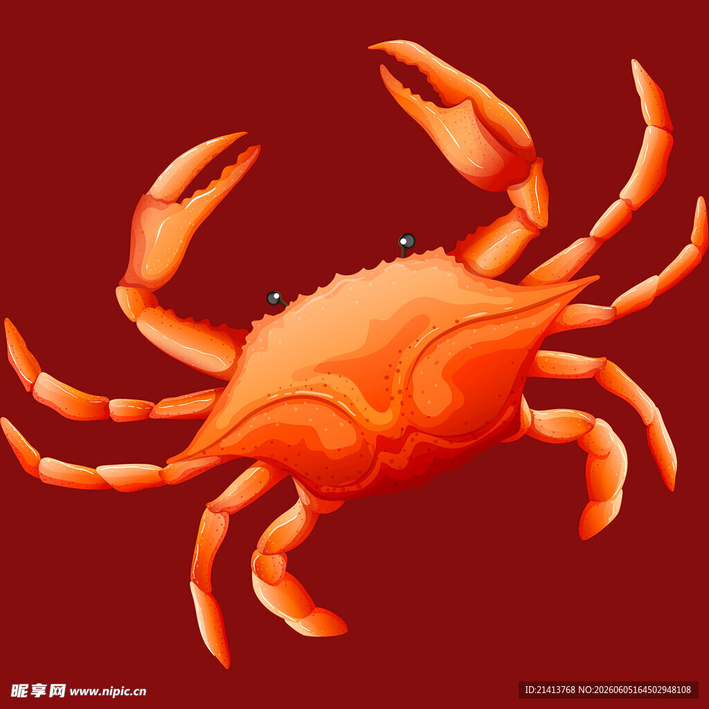 红色螃蟹插画