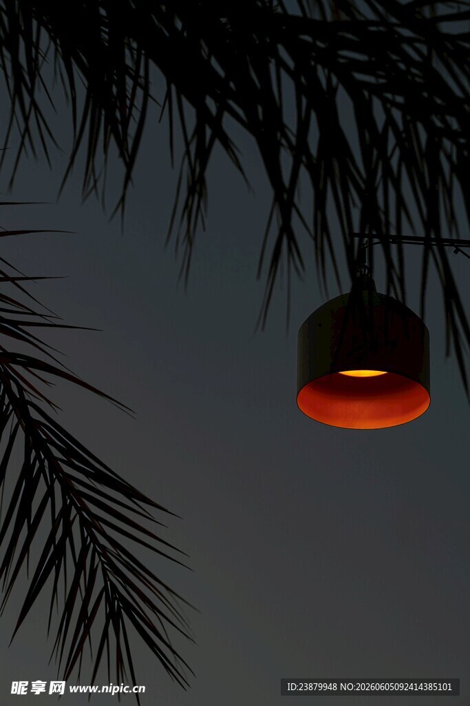 夜幕下的棕榈叶与红灯光