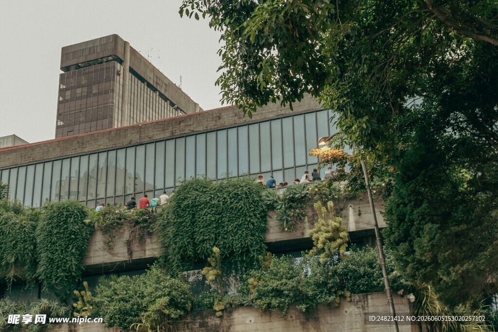 绿植环绕的现代建筑外观