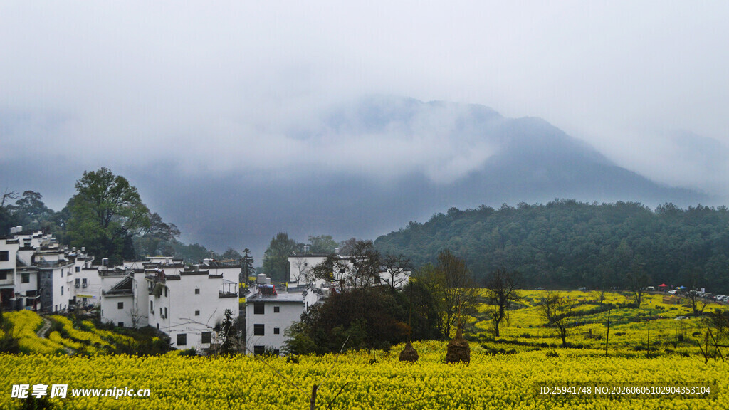 春日山村油菜花海与民居