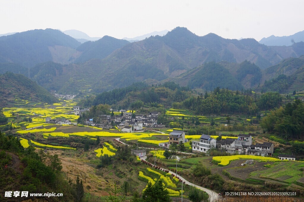 山间村落油菜花田美景