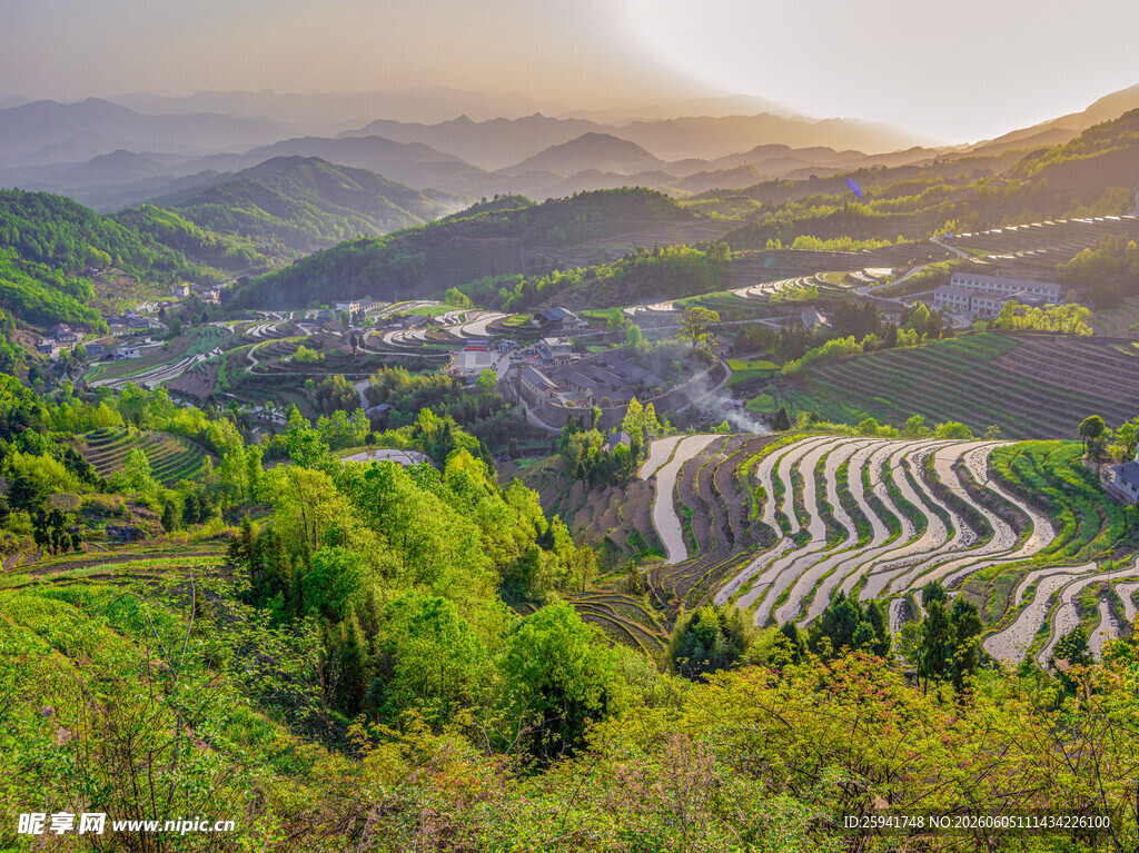山间梯田美景绿意盎然