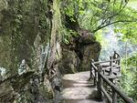 山间栈道漫步自然美景