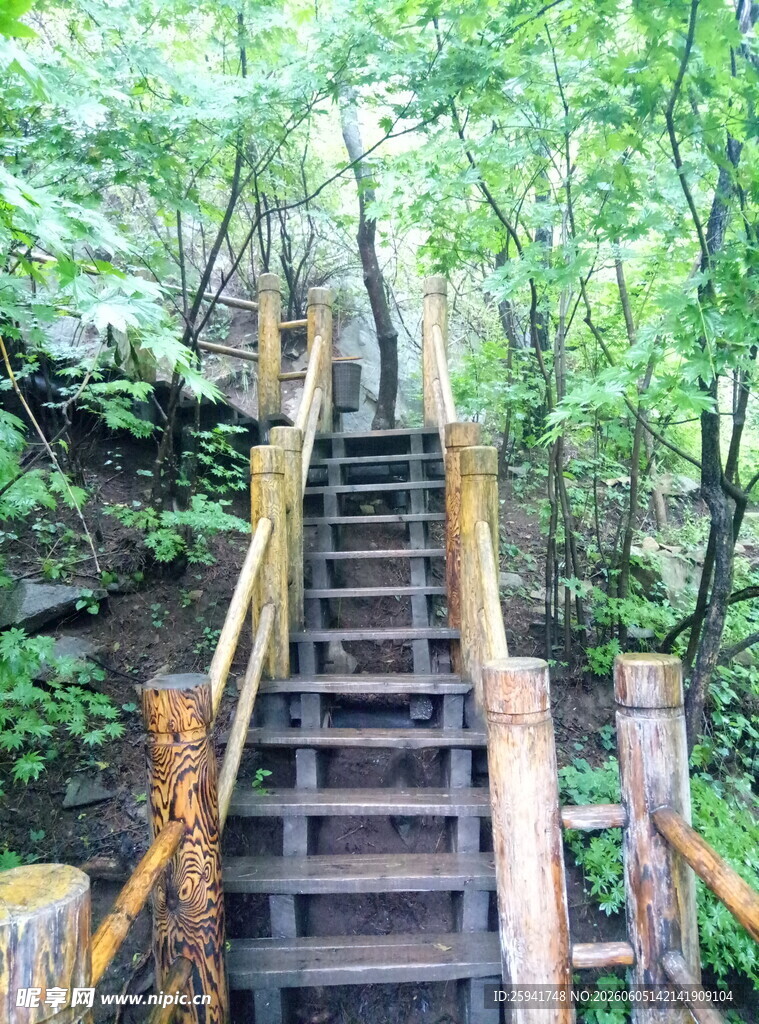 山林中的木质阶梯步道