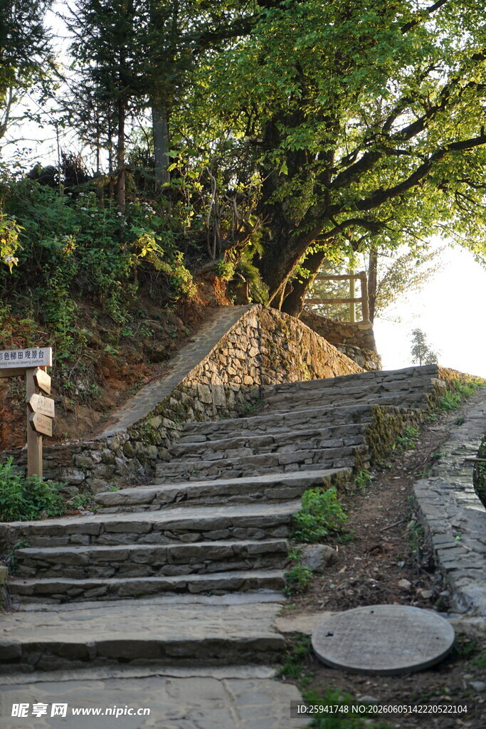山林间的石阶景观