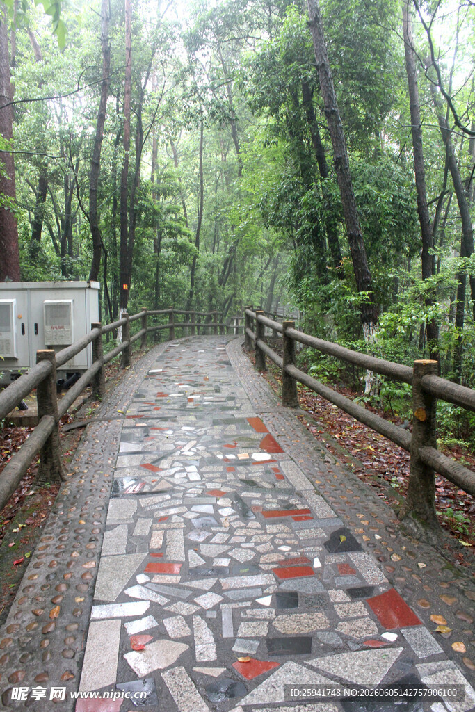 林间多彩石板步道