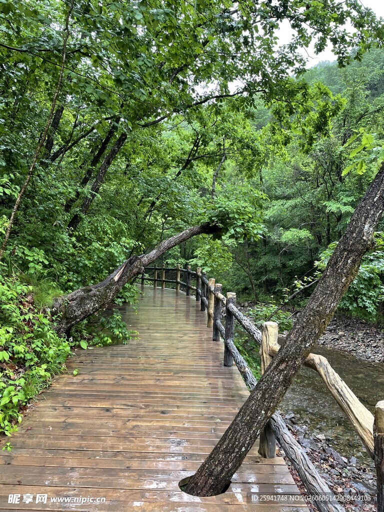 风雨后受损的林间木栈道