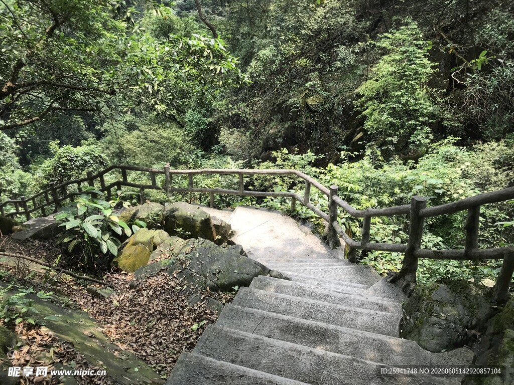 林间小径漫步自然之境
