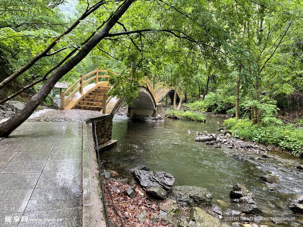 林间小溪畔的自然景致
