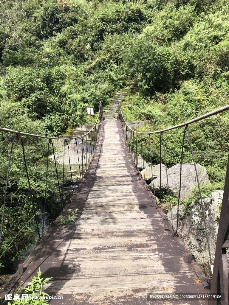 山间木栈道蜿蜒入丛林
