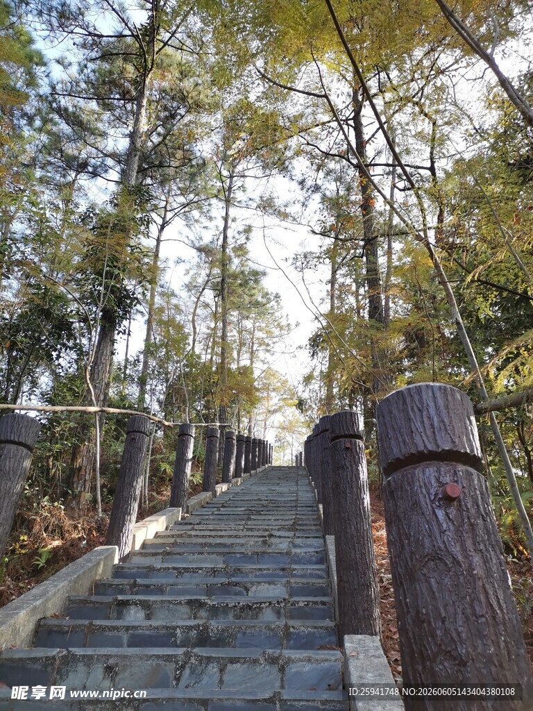林间石阶步道