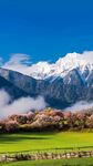 雪山牧场