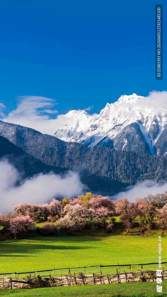 雪山牧场