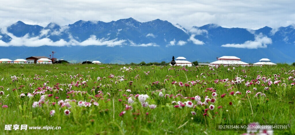 草原花海与远山美景
