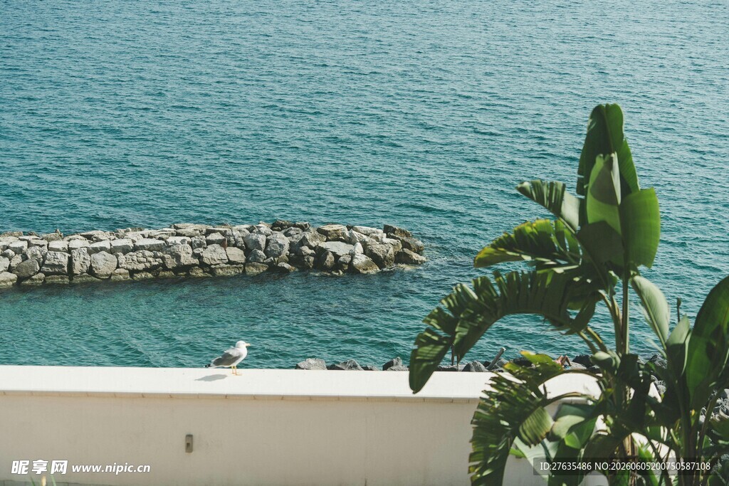 海边景致绿植与防波堤