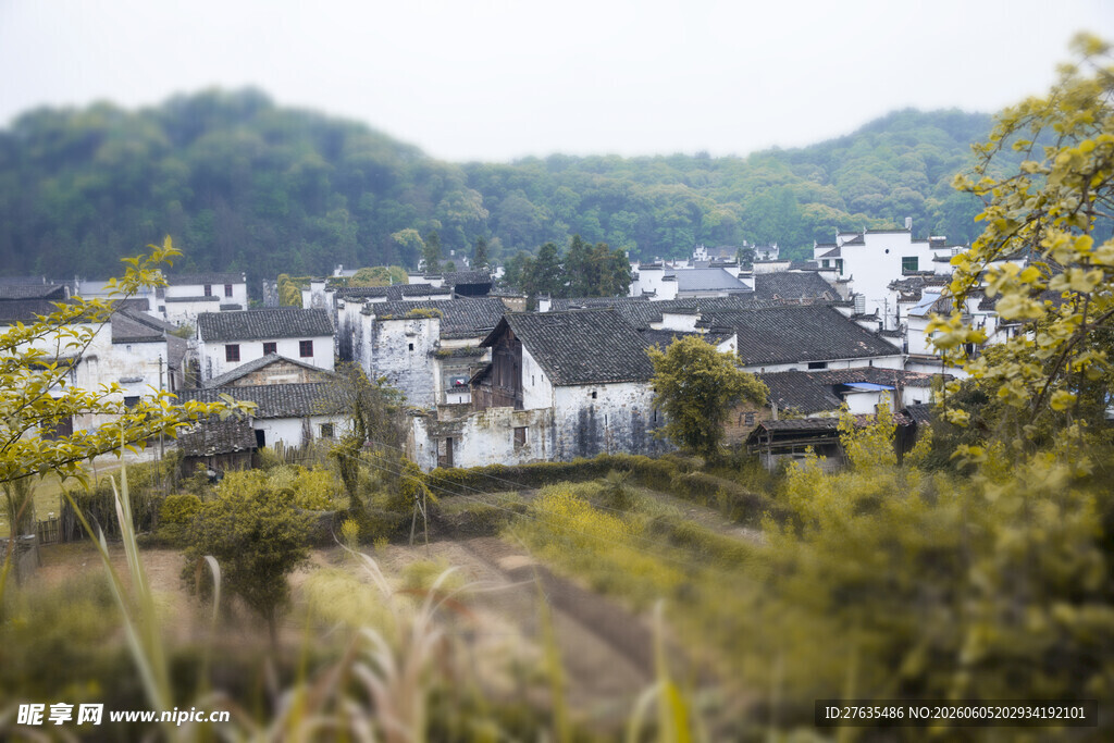 山村景致白墙黑瓦隐于绿