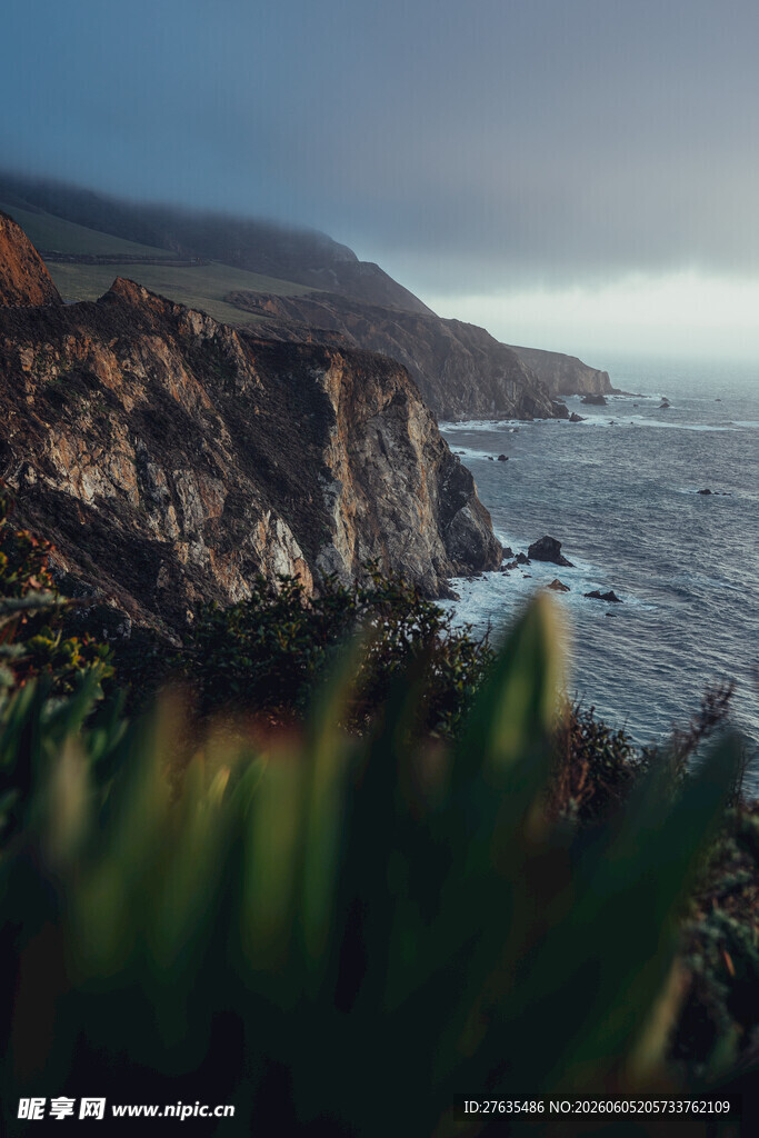海岸风光绿植点缀的壮丽景色