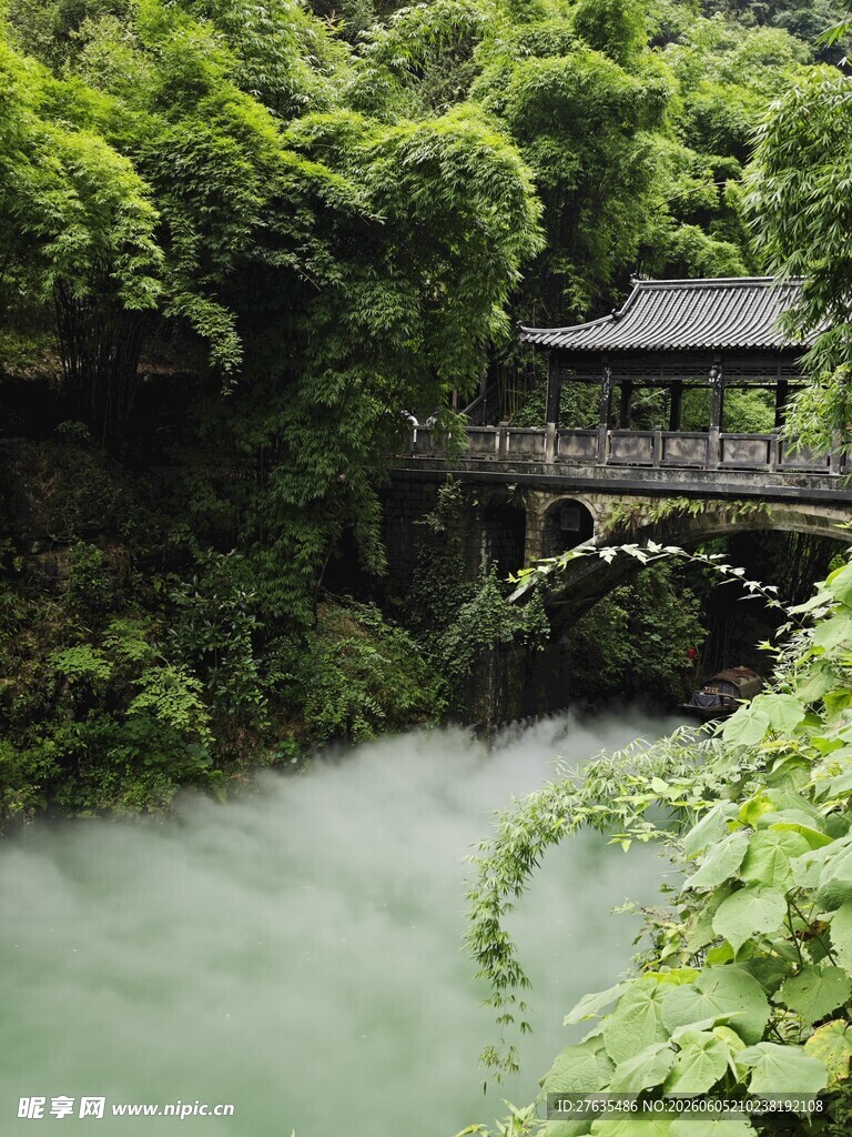 山间幽桥隐于翠绿丛林