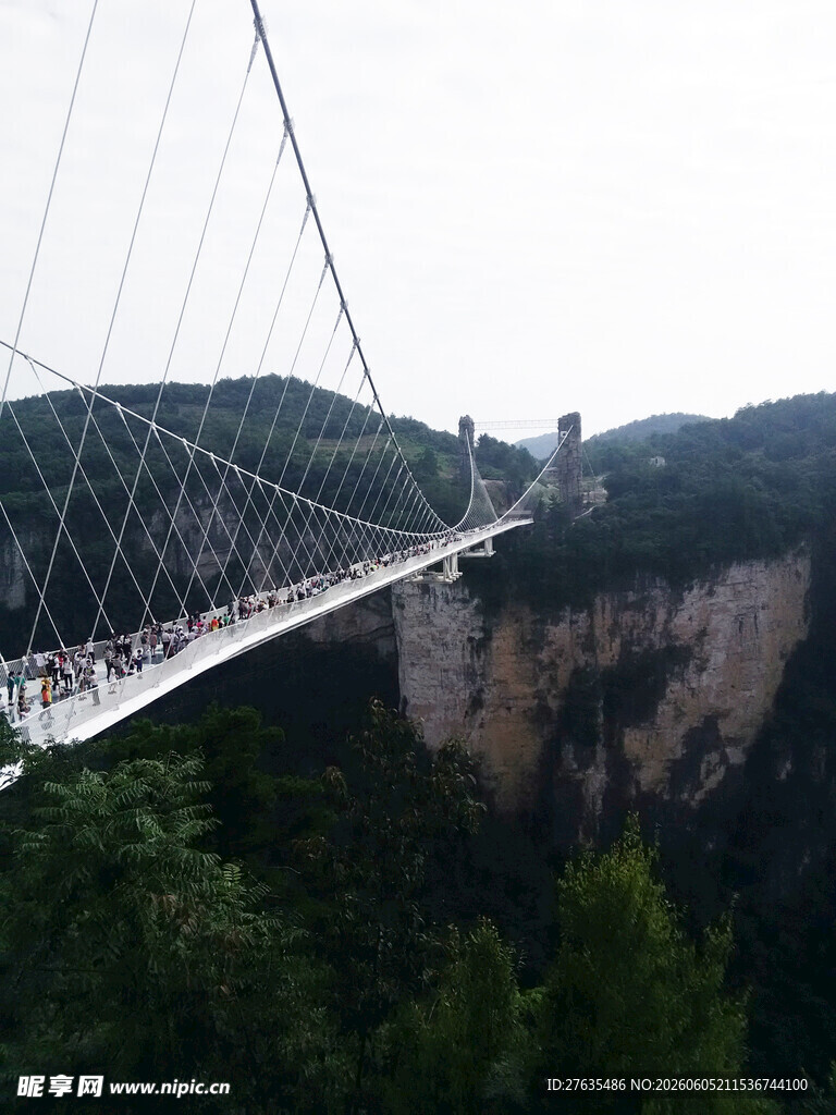 高空悬索桥横跨山林