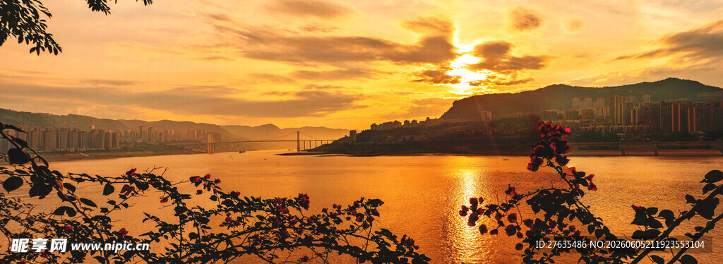 夕阳下的湖景与枝叶