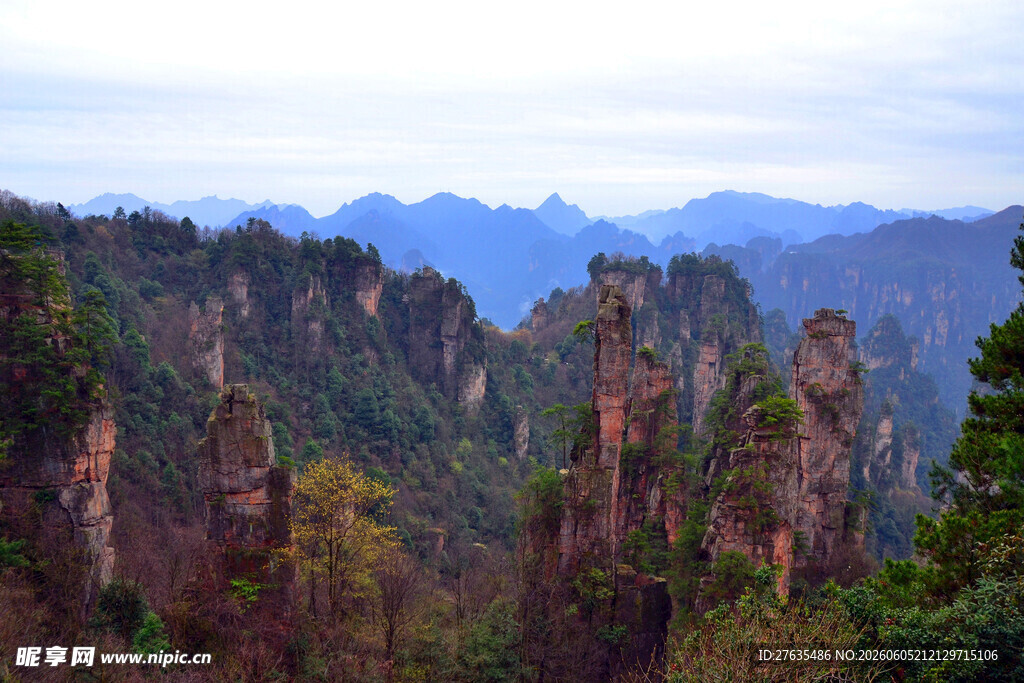 张家界奇峰美景