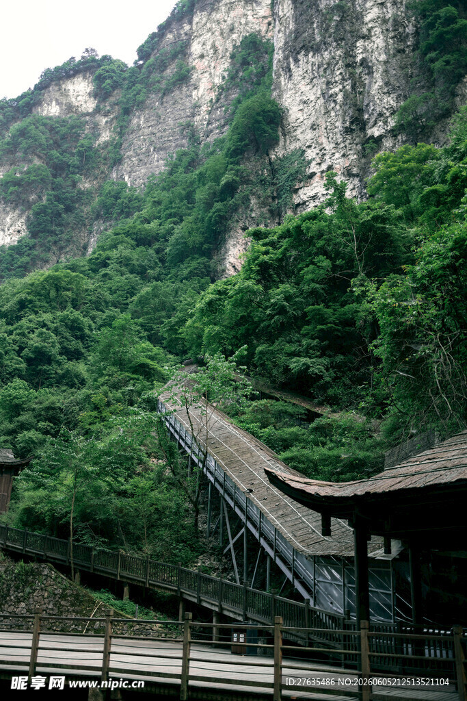 山间栈道蜿蜒于翠绿山色中