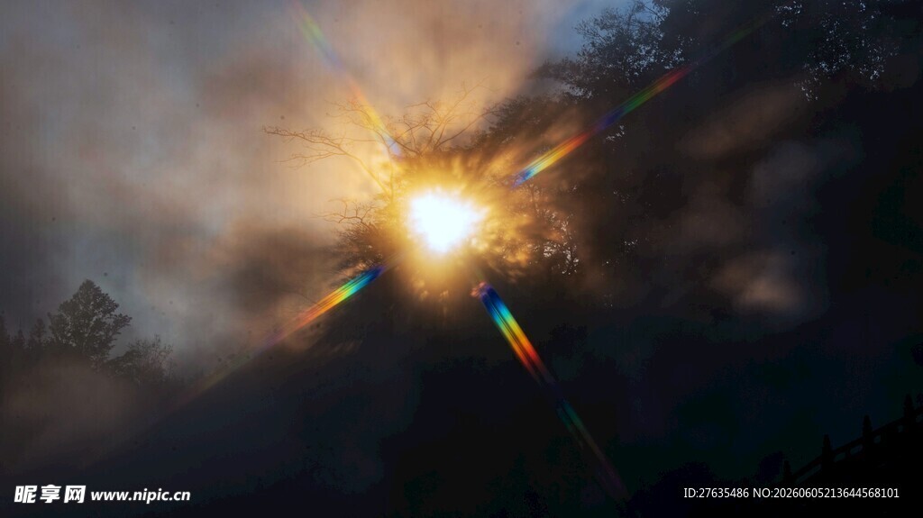 林间日出闪耀奇幻光芒