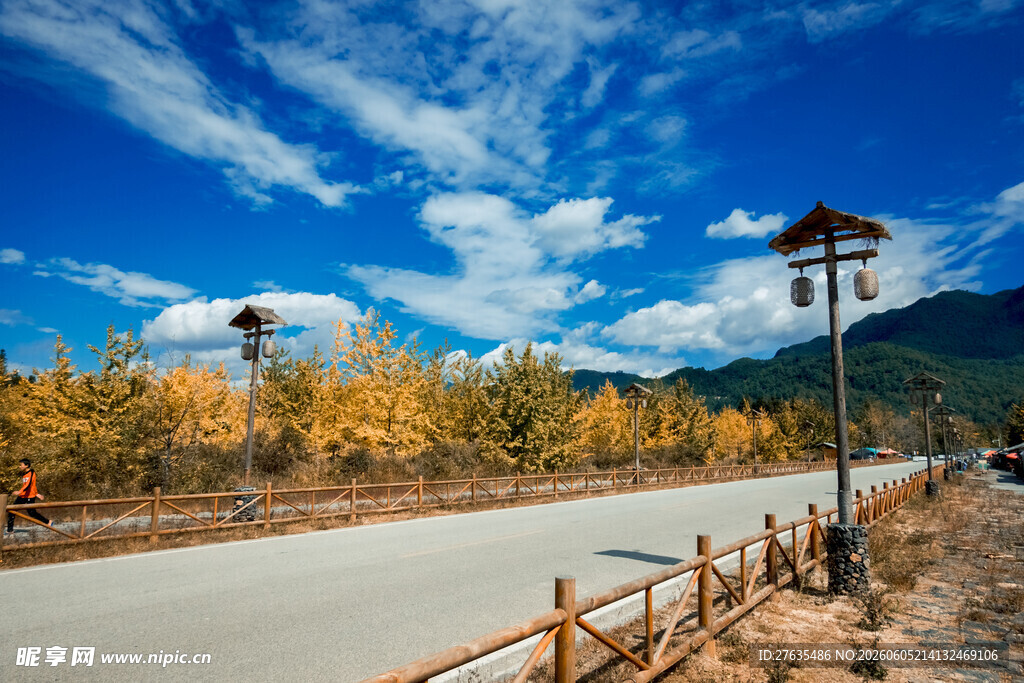 秋日公路美景