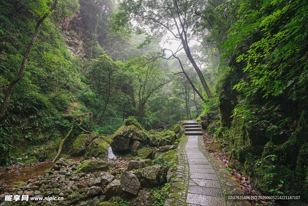 山间幽径绿意盎然的自然景