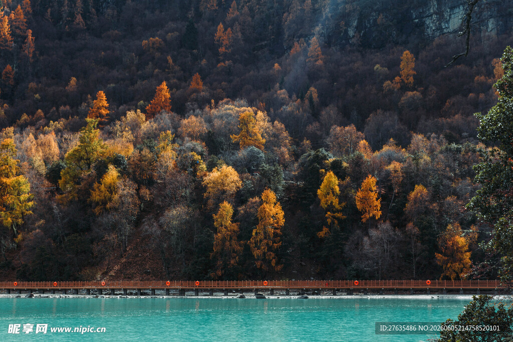 秋日湖畔斑斓山林美景