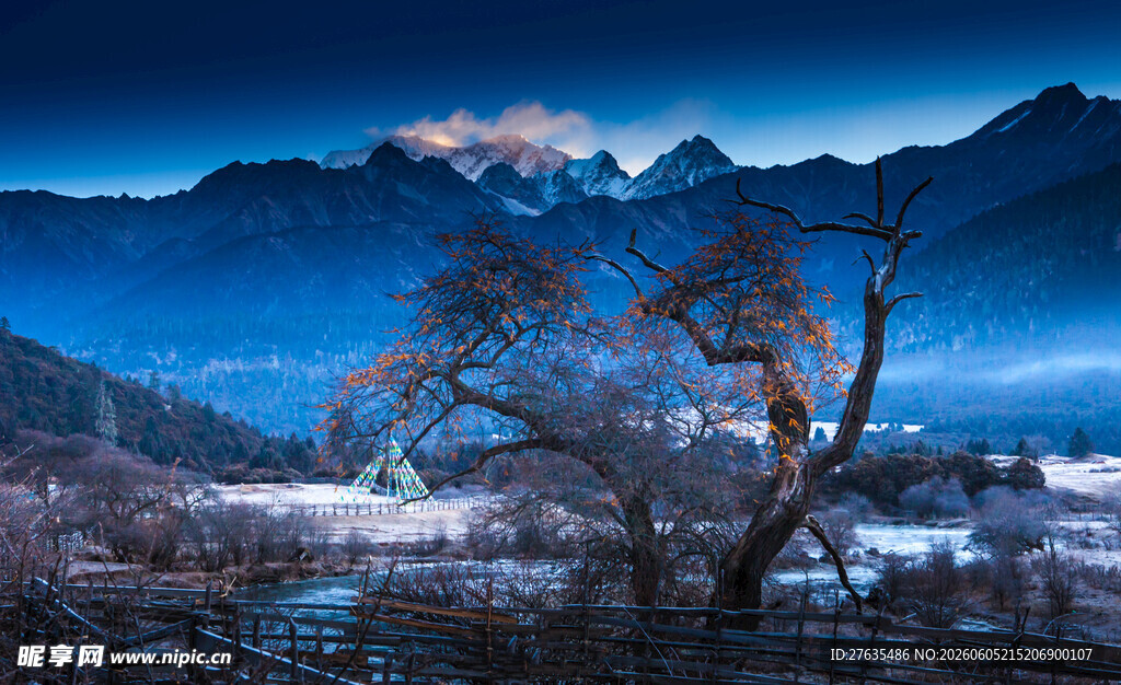雪山下的静谧村落与孤树