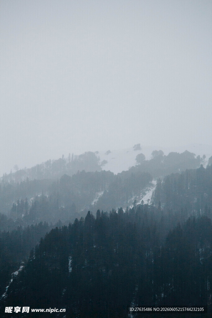 雾中山林雪景