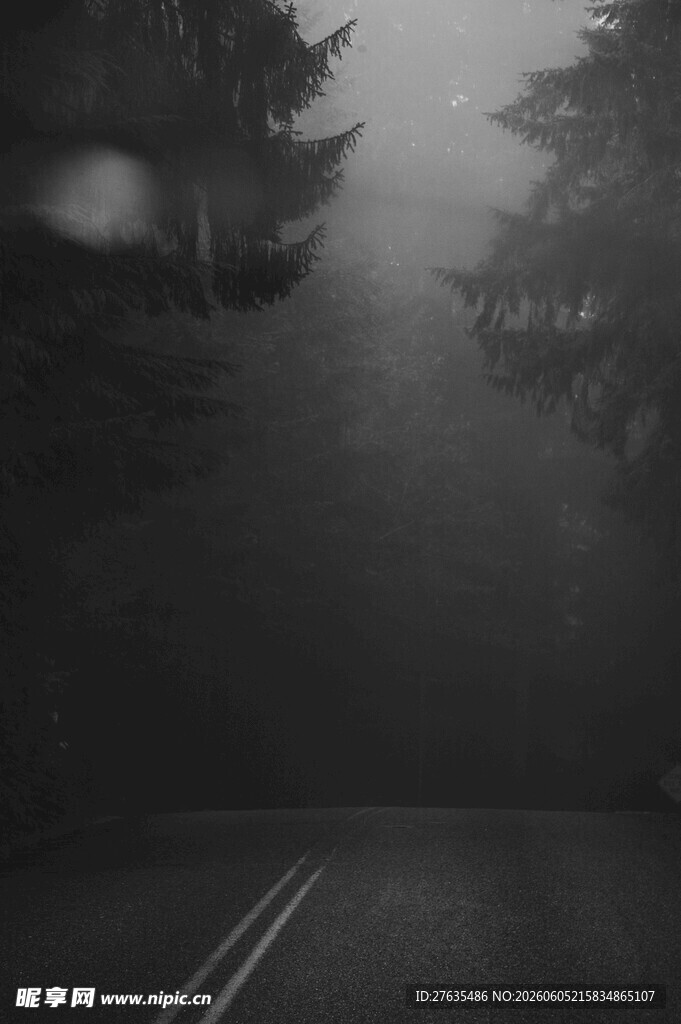 雾中公路静谧神秘之景